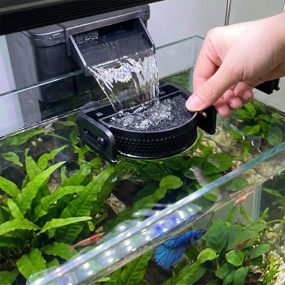 Aquarium Fish Betta - ﻿ حاجز فلتر حوض السمك الممتاز