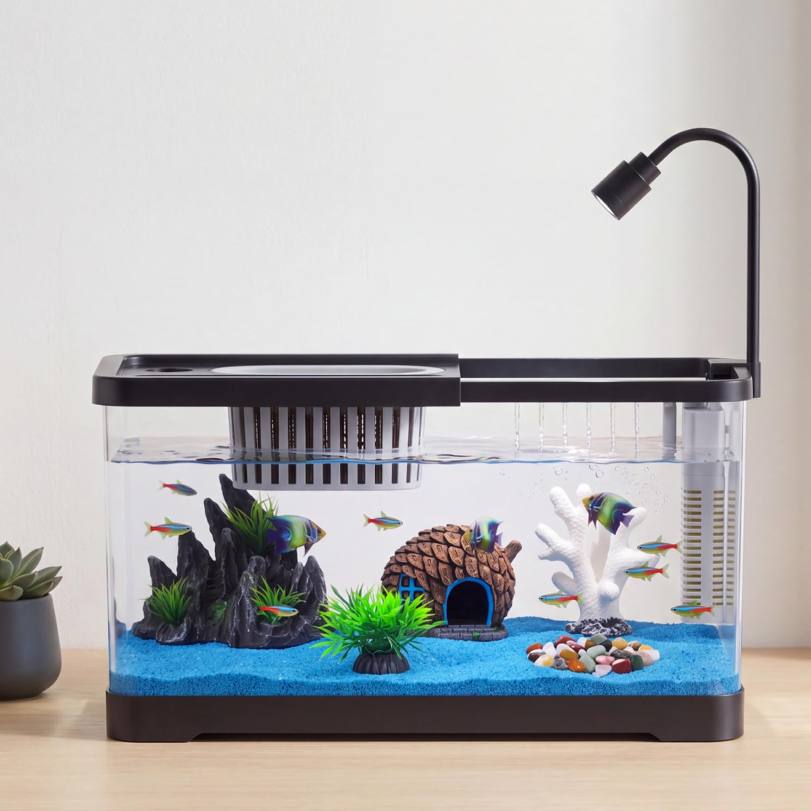 Aquarium Fish Betta - مجموعة بدء تربية الأسماك مع فلتر