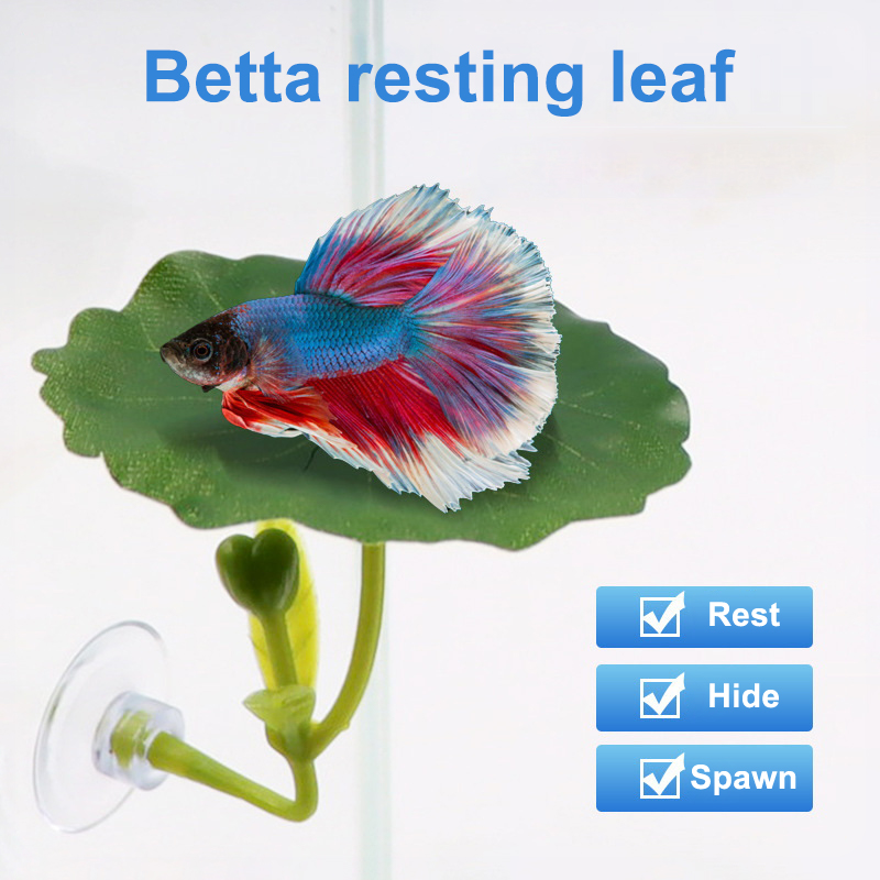 Aquarium Fish Betta - (Ce14) 1/5 قطعة، أرجوحة على شكل