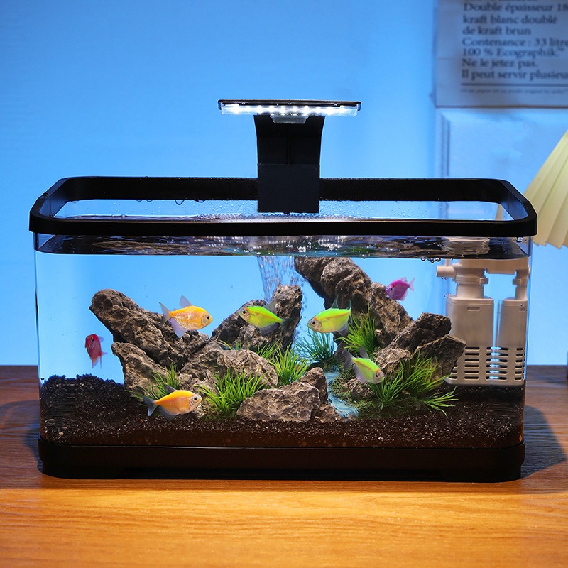 Fish Aquarium Home - حوض أسماك مكتبي مع فلتر دوران،