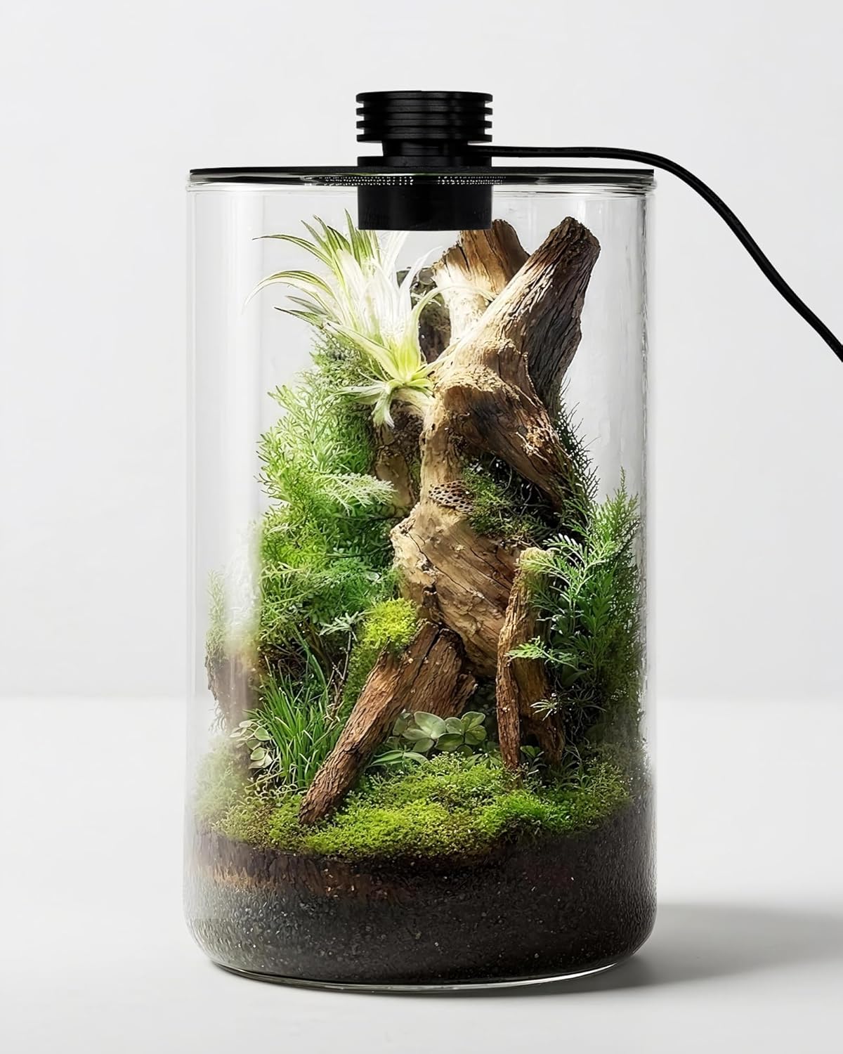Betta Fish Tank - حوض زجاجي داخلي مع إضاءة نمو