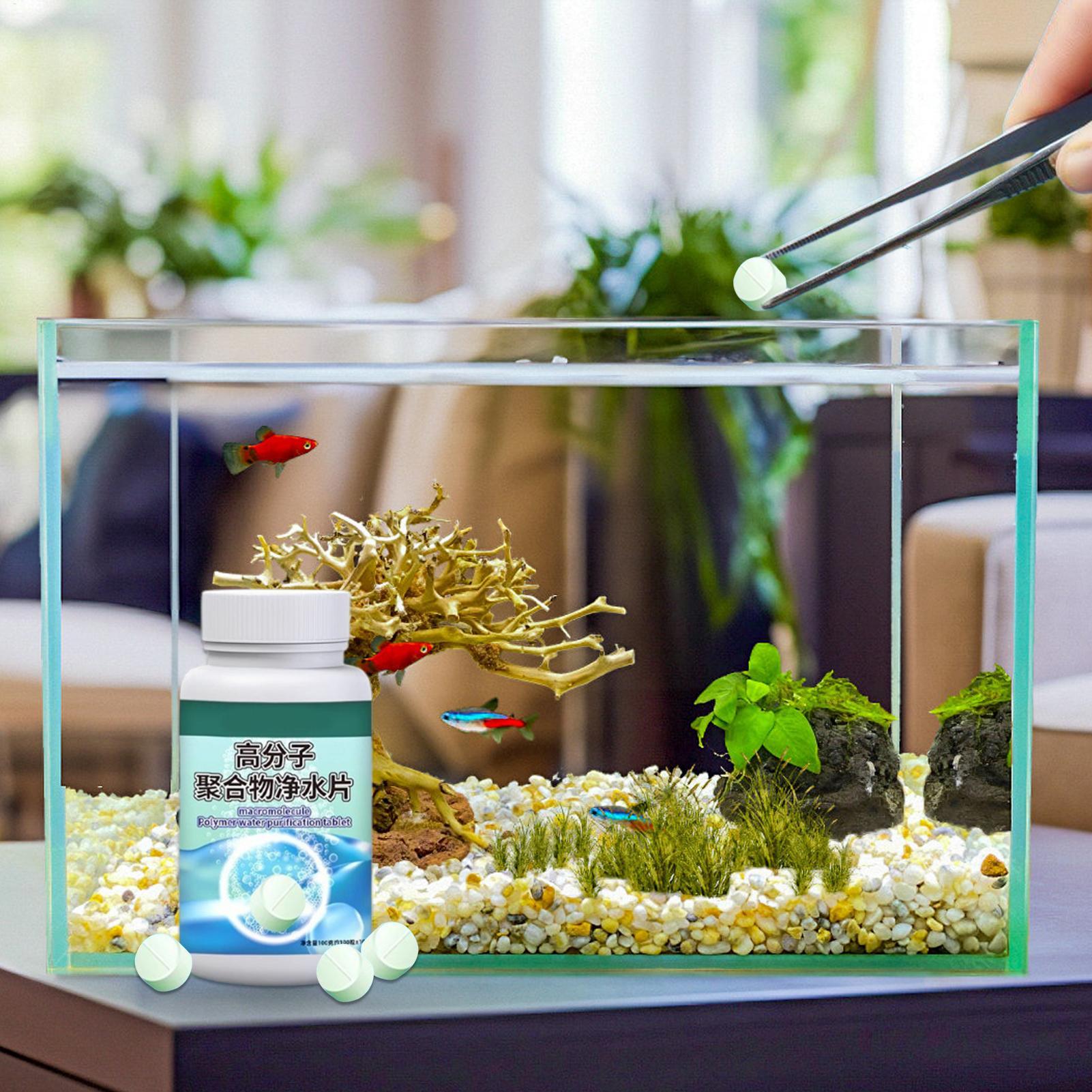 أقراص تنظيف المياه وإزالة الطح - مراجعة Aquarium Fish Betta وسعره