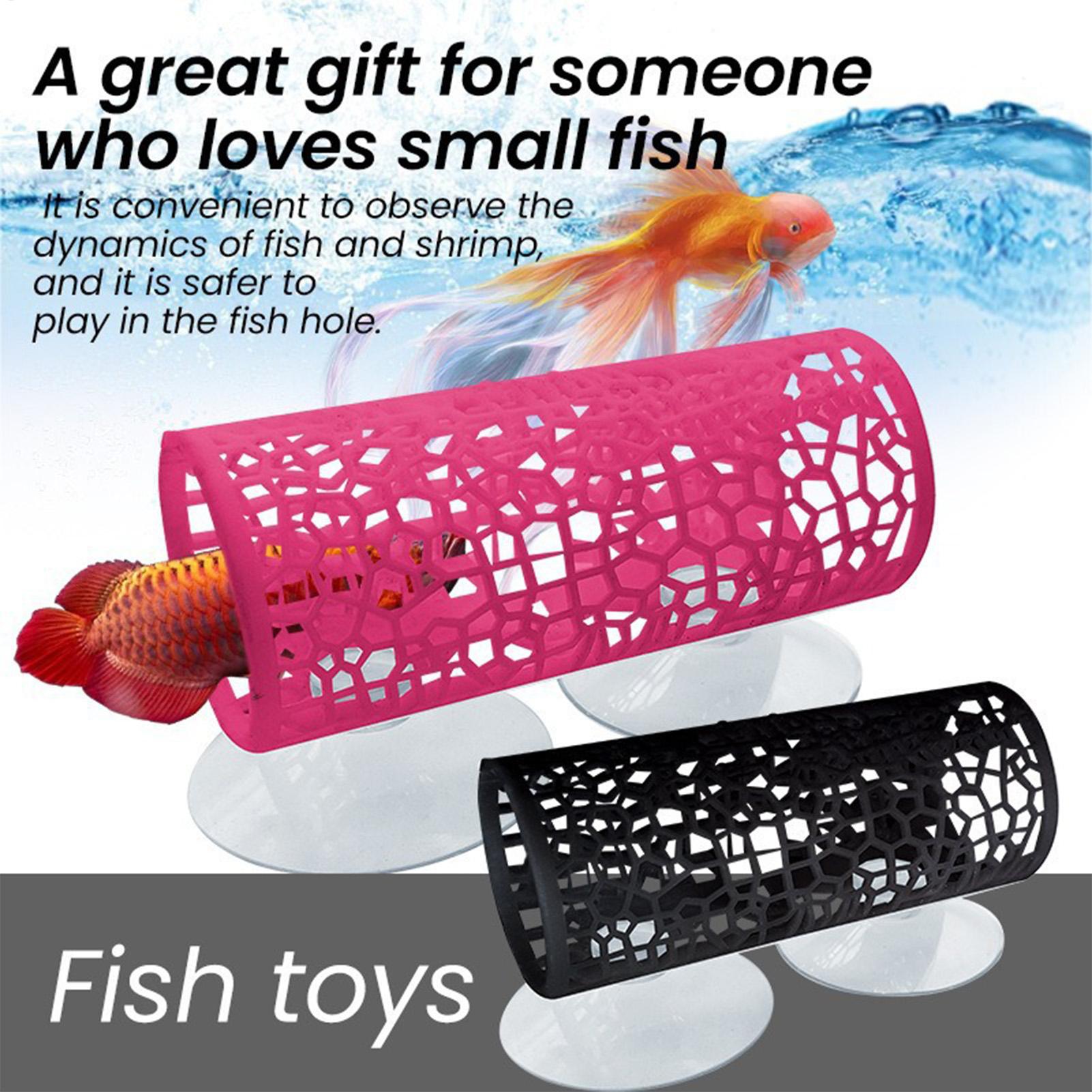 مأوى استراحة لأسماك البيتا، زي - مراجعة Aquarium Fish Betta وسعره