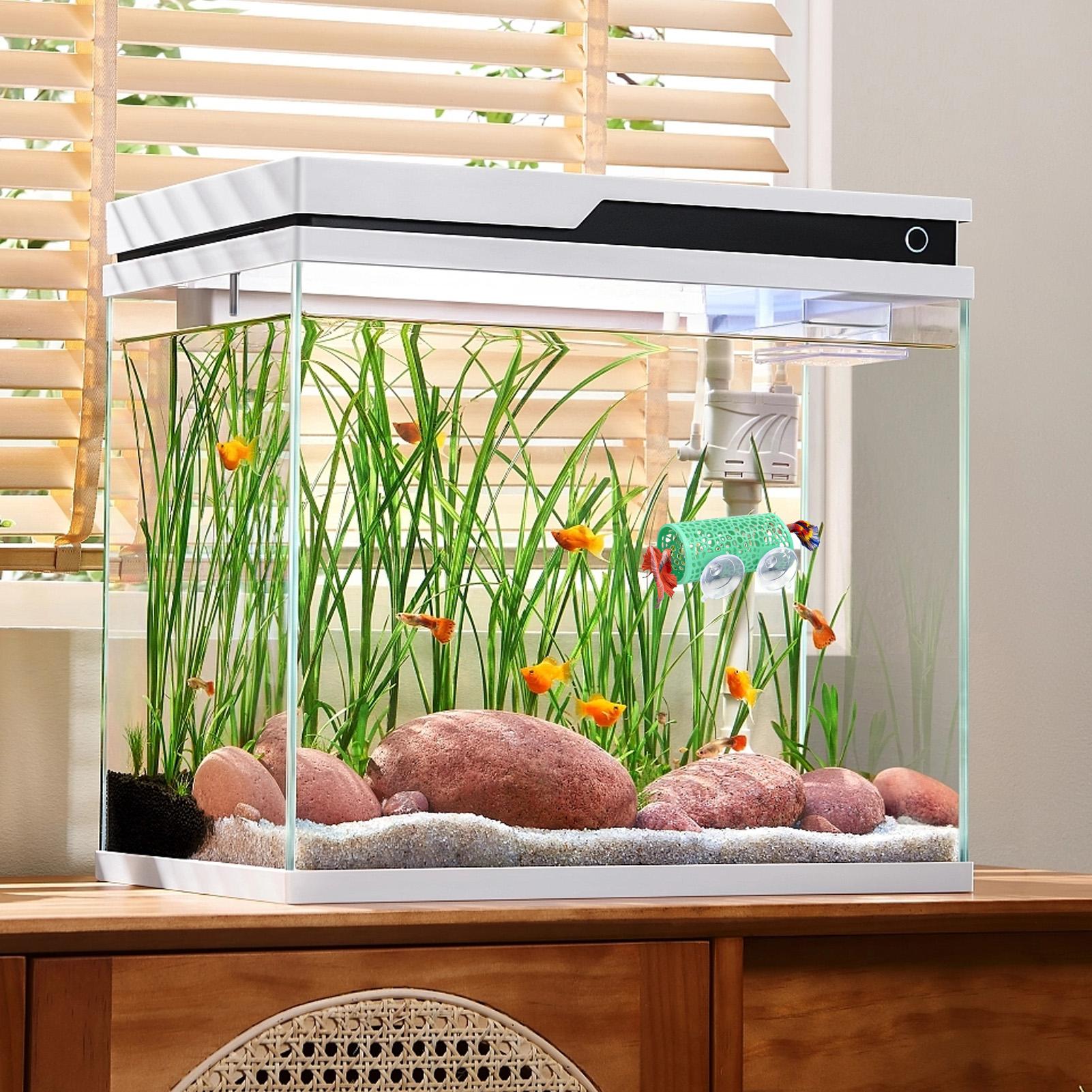 مأوى استراحة لأسماك البيتا، زي - مراجعة Aquarium Fish Betta وسعره