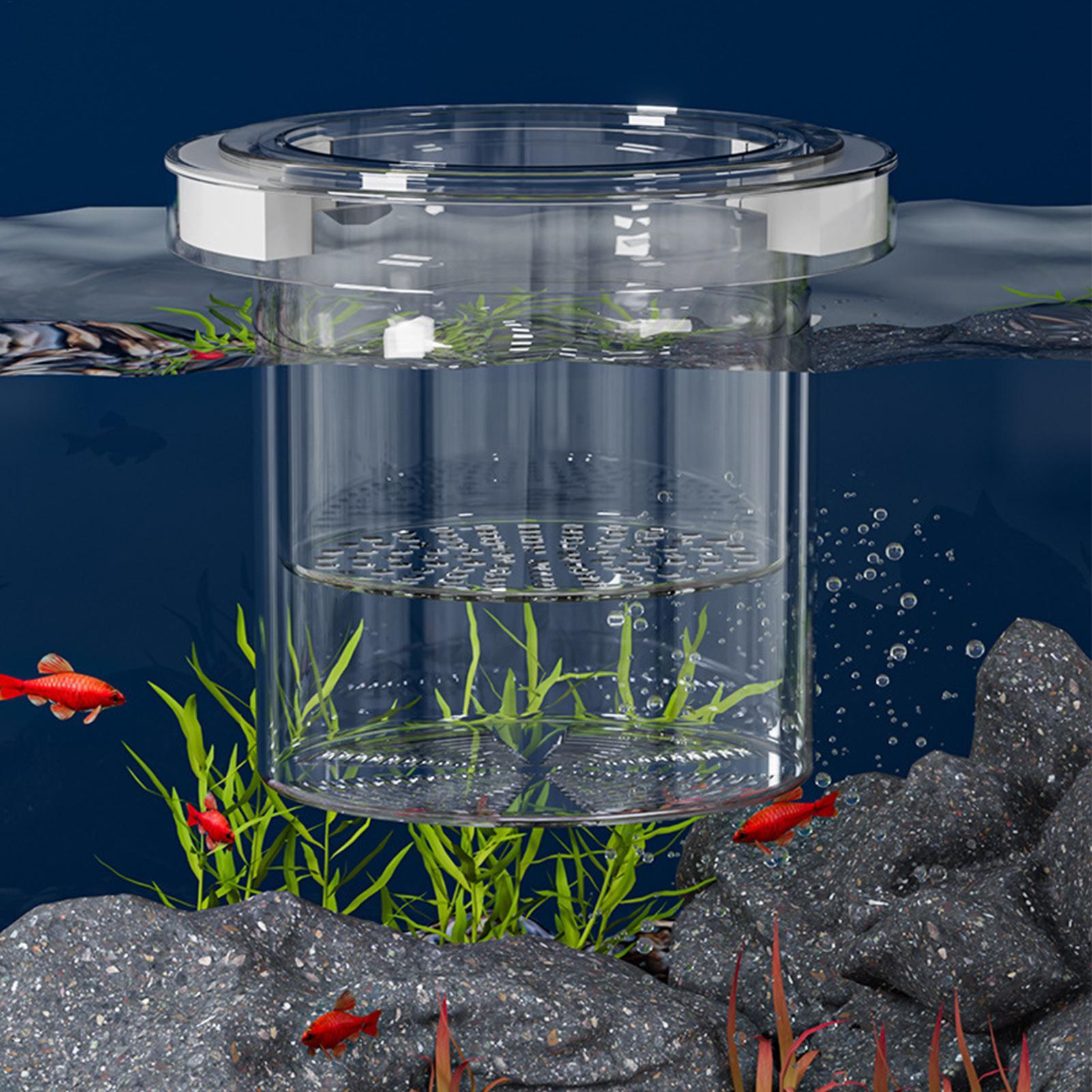 صندوق عزل لتربية الأسماك العائ - مراجعة Aquarium Fish Betta وسعره