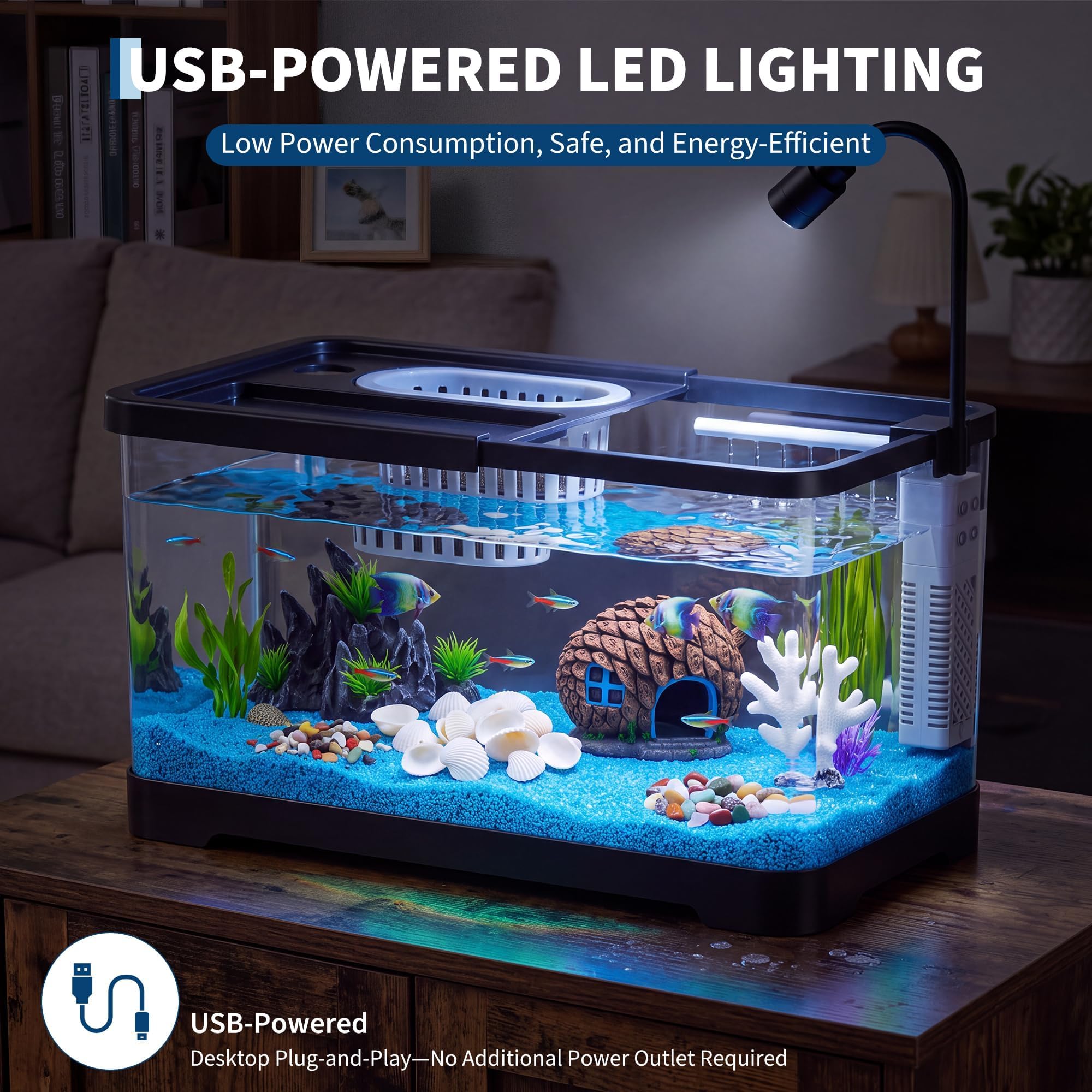 مجموعة بدء تربية الأسماك مع فل - مراجعة Aquarium Fish Betta وسعره
