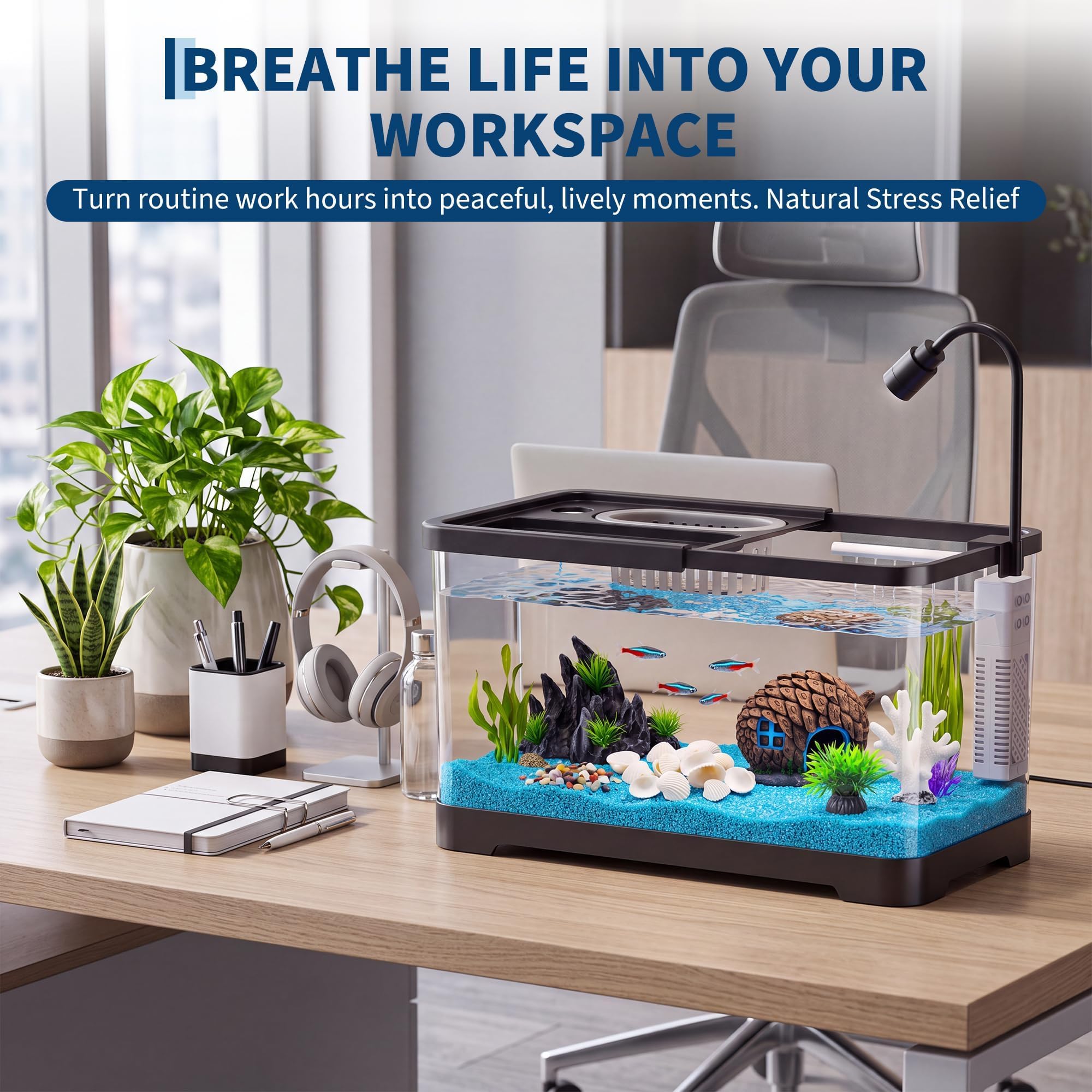 مجموعة بدء تربية الأسماك مع فل - مراجعة Aquarium Fish Betta وسعره