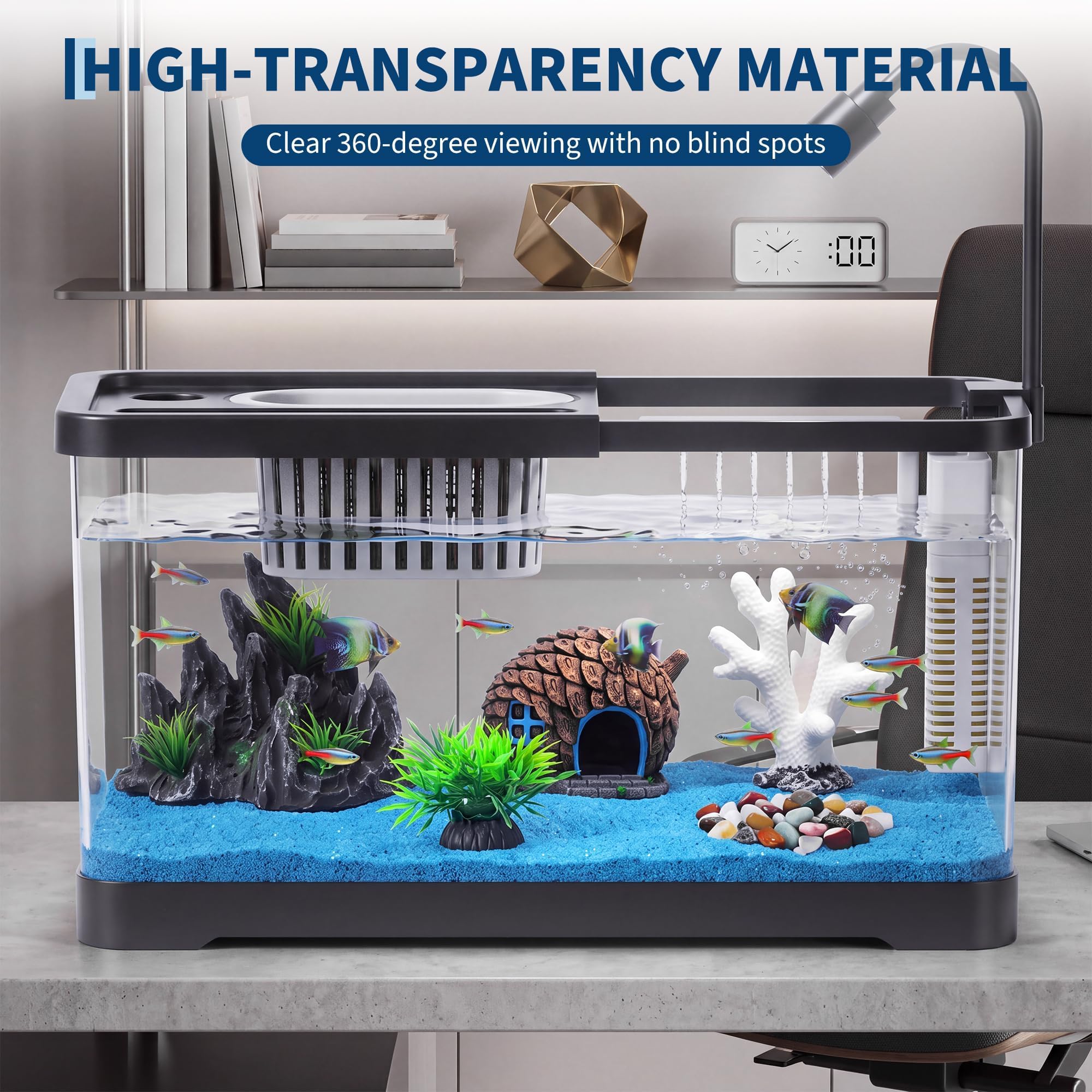 مجموعة بدء تربية الأسماك مع فل - مراجعة Aquarium Fish Betta وسعره