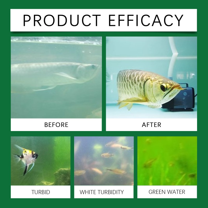 أقراص تنقية مياه أحواض السمك ف - مراجعة Aquarium Fish Keeping وسعره