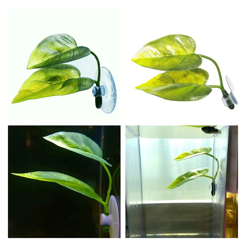 مستلزمات حوض السمك، زينة، نبات - مراجعة Aquarium Fish Betta وسعره