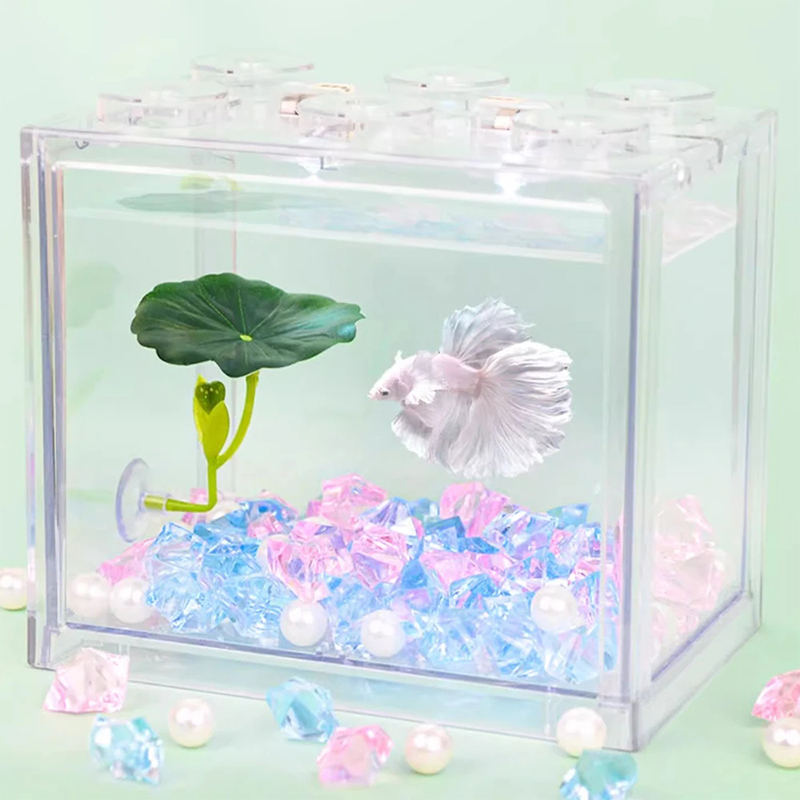 (Ce14) 1/5 قطعة، أرجوحة على شك - مراجعة Aquarium Fish Betta وسعره