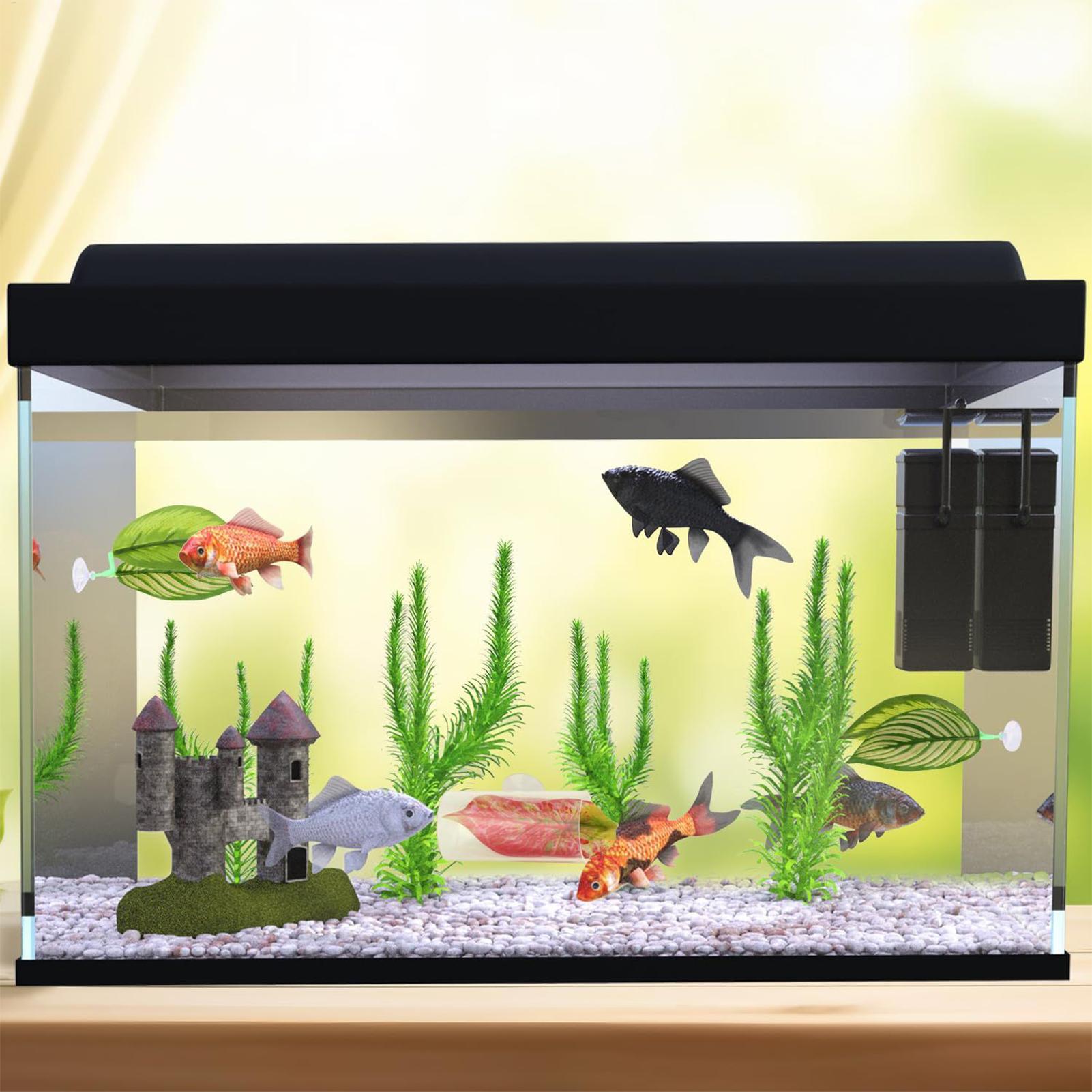 بيتا أرجوحة السمك 5 قطع قابل ل - مراجعة Aquarium Fish Betta وسعره