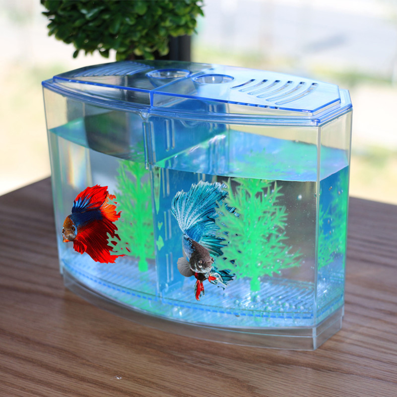 لعبة جديدة ومضحكة، صندوق عزل ل - مراجعة Aquarium Fish Keeping وسعره