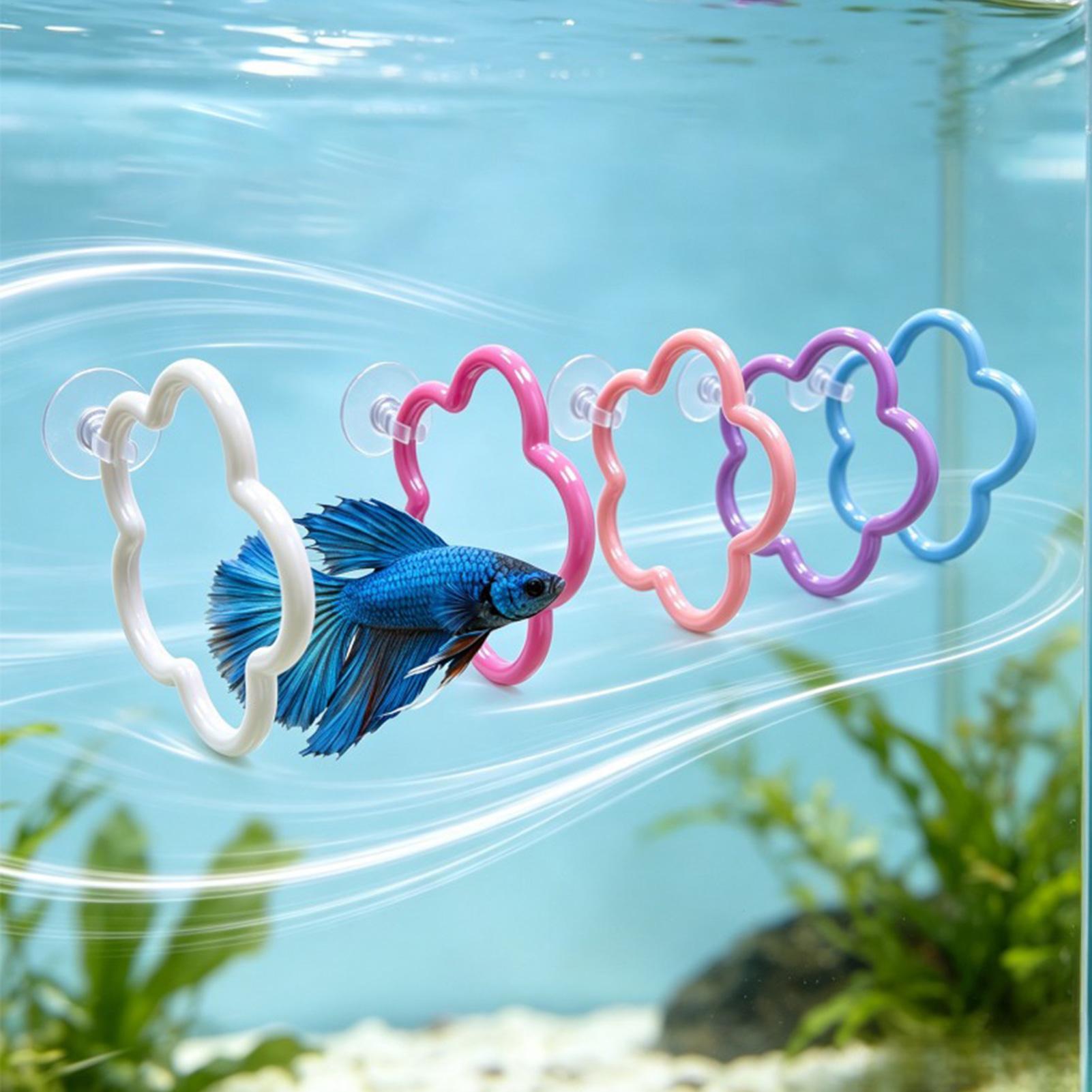 ألعاب سمك البيتا 5 قطع ملونة م - مراجعة Aquarium Fish Betta وسعره