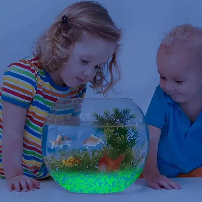 1000 قطعة 3-5 مللي متر مضيئة ا - مراجعة Fish Aquarium Home وسعره
