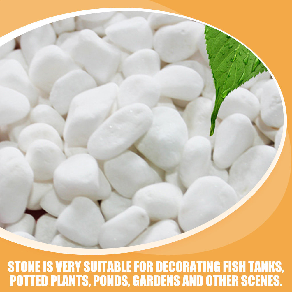 مجموعة من الحصى الأبيض الزخرفي - مراجعة Fish Tank Gravel وسعره