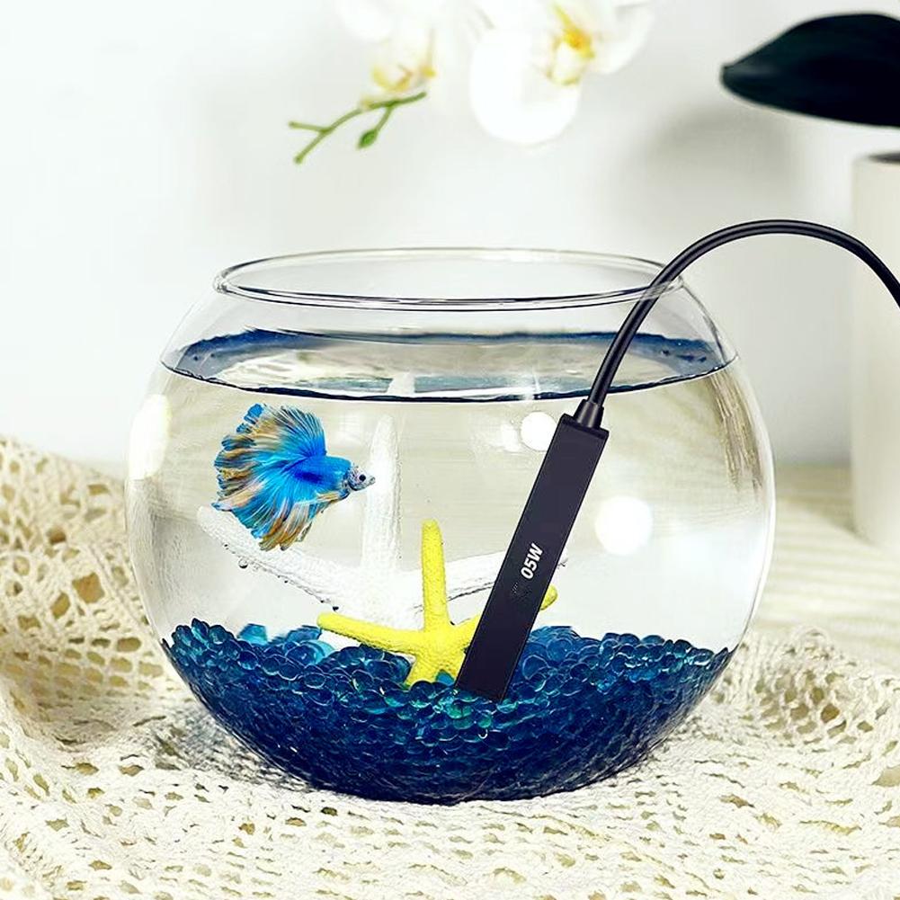 سخان حوض أسماك صغير يعمل بمنفذ - مراجعة Aquarium Fish Betta وسعره