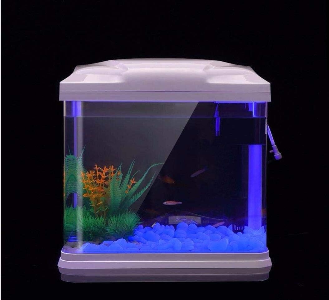 حوض السمك الصخور توهج الحصى ال - مراجعة Fish Aquarium Home وسعره