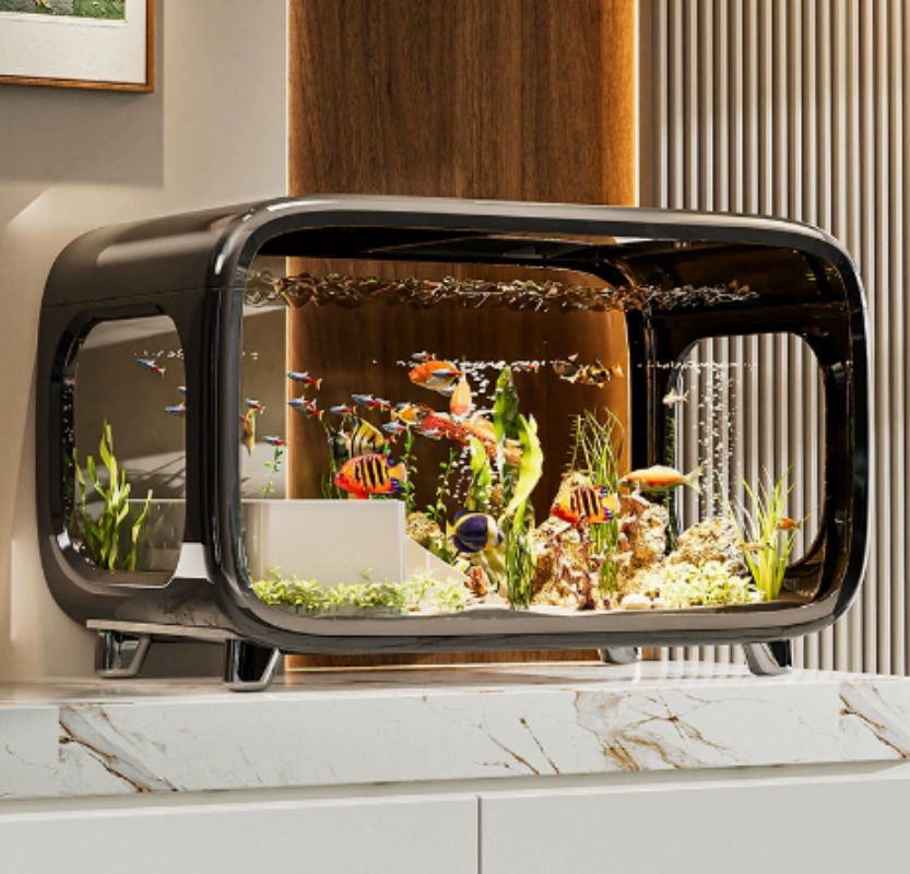 حوض سمك شفاف إبداعي وصديق للبي - مراجعة Fish Aquarium Home وسعره