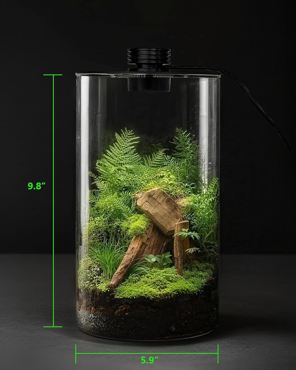حوض زجاجي داخلي مع إضاءة نمو ا - مراجعة Betta Fish Tank وسعره