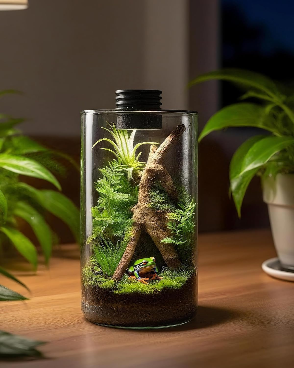 حوض زجاجي داخلي مع إضاءة نمو ا - مراجعة Betta Fish Tank وسعره