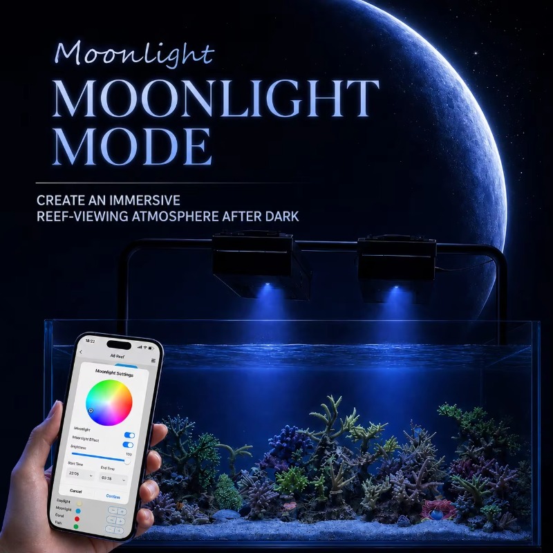 إضاءة حوض السمك LED من سلسلة A - مراجعة Aquarium Light وسعره