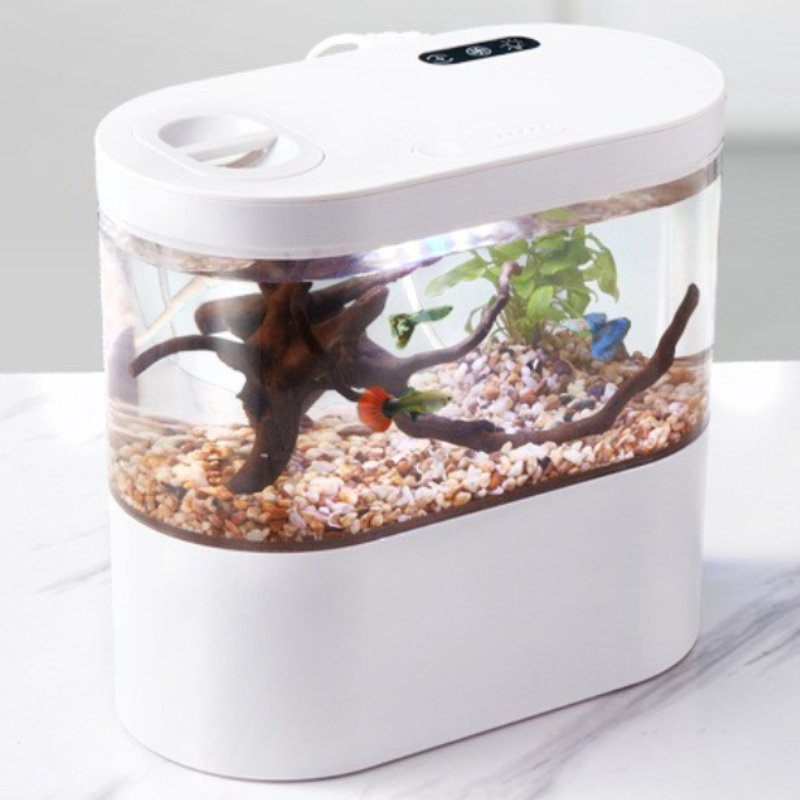 حوض سمك مكتبي صغير مبتكر مع نظ - مراجعة Betta Fish Tank وسعره