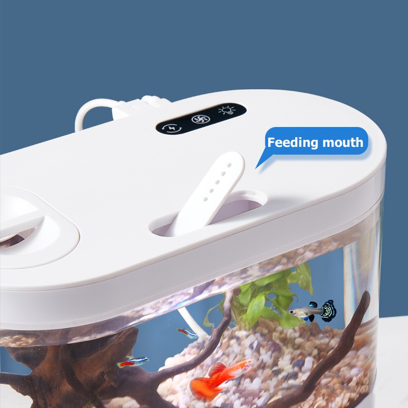 حوض سمك مكتبي صغير مبتكر مع نظ - مراجعة Betta Fish Tank وسعره