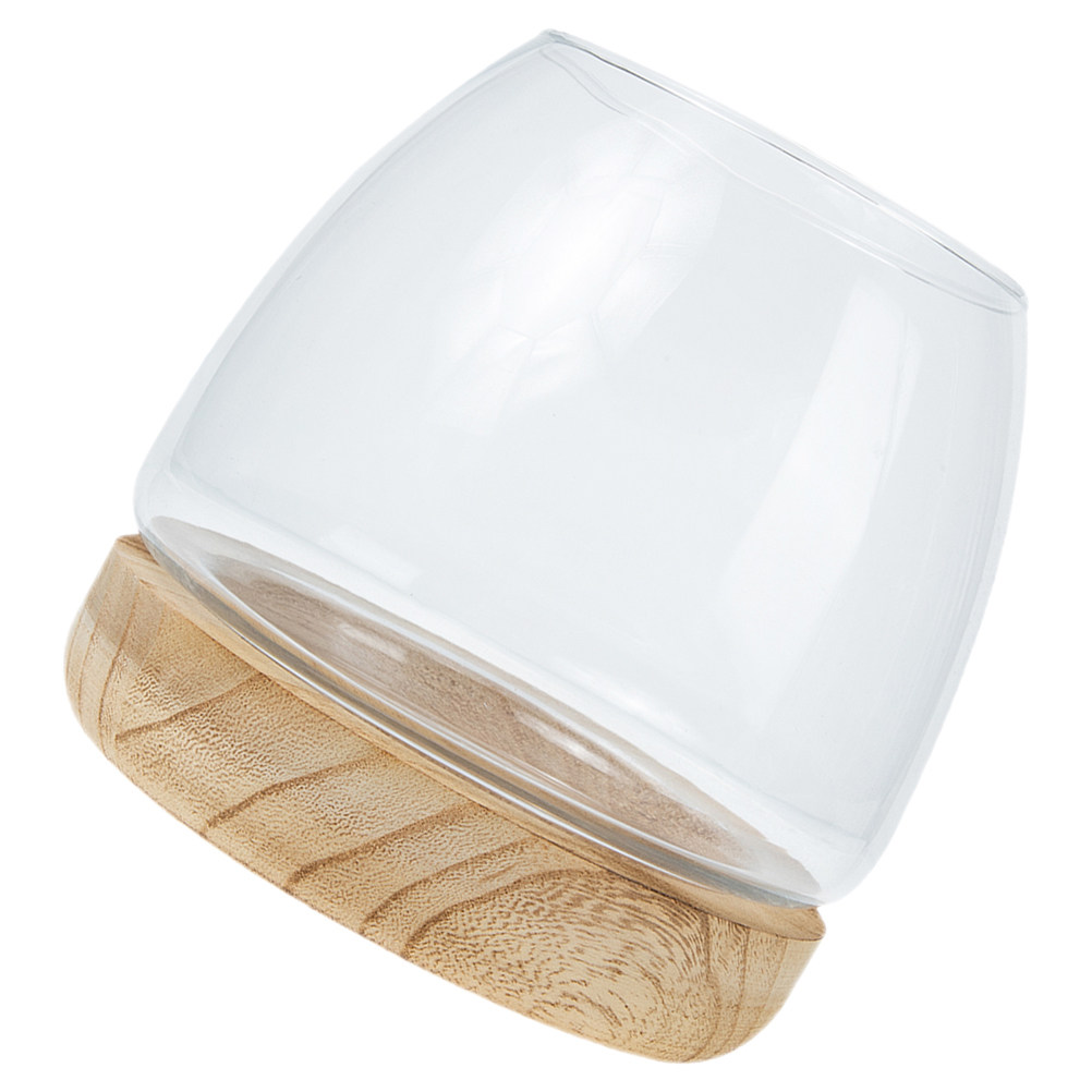 مجموعة واحدة من تيراريوم زجاجي - مراجعة Aquarium Fish Betta وسعره